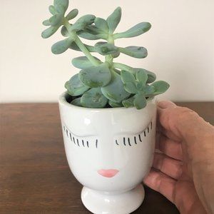 Mini Plant Pot!